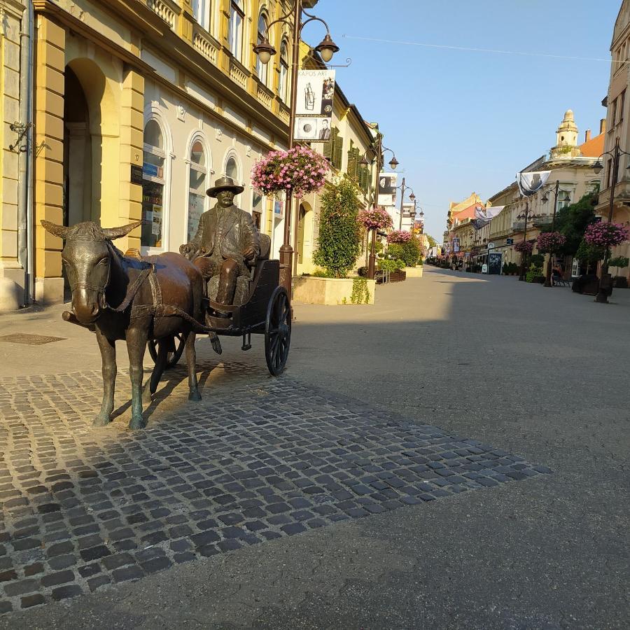 KaposvárKrenusz Vendeghaz.アパートメント エクステリア 写真